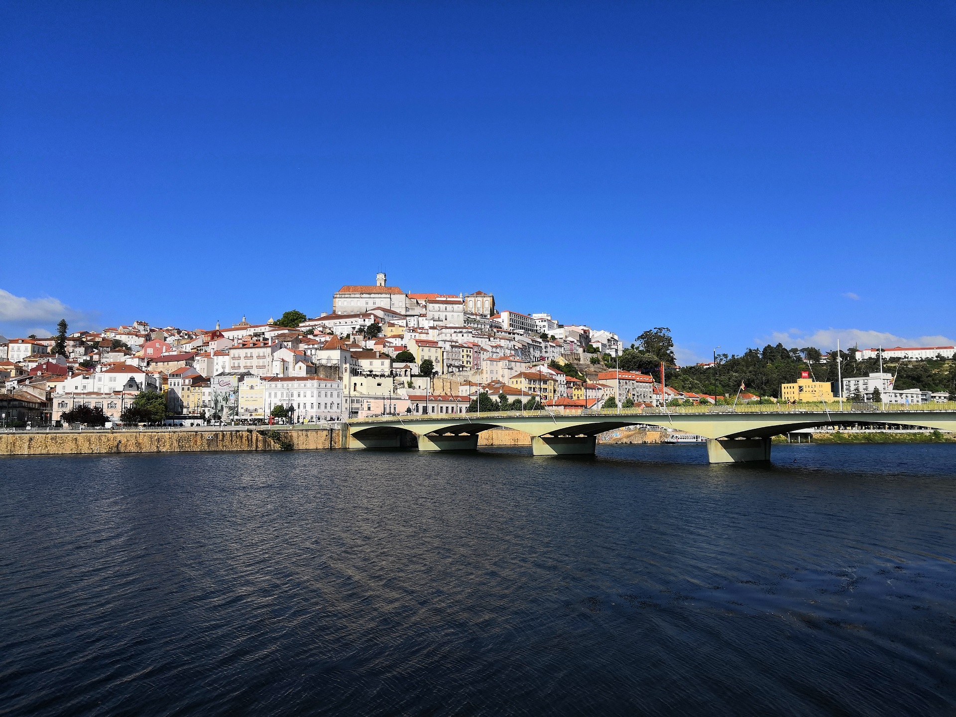 Inês Guerra da Allmicroalgae no congresso Microbiotec19, em Coimbra