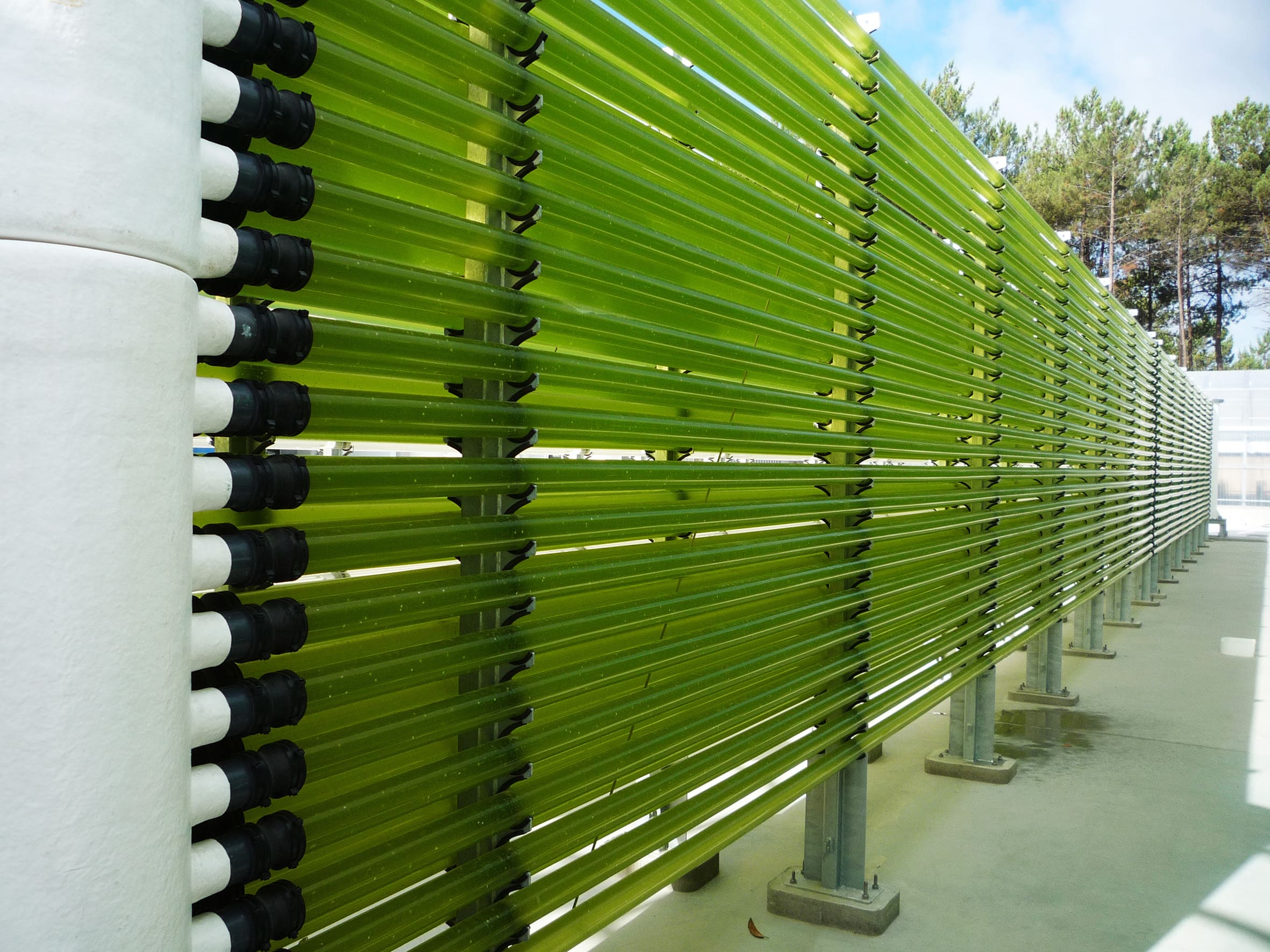 Hatchery Feed & Management | Allmicroalgae set to double production of algae-based ingredients