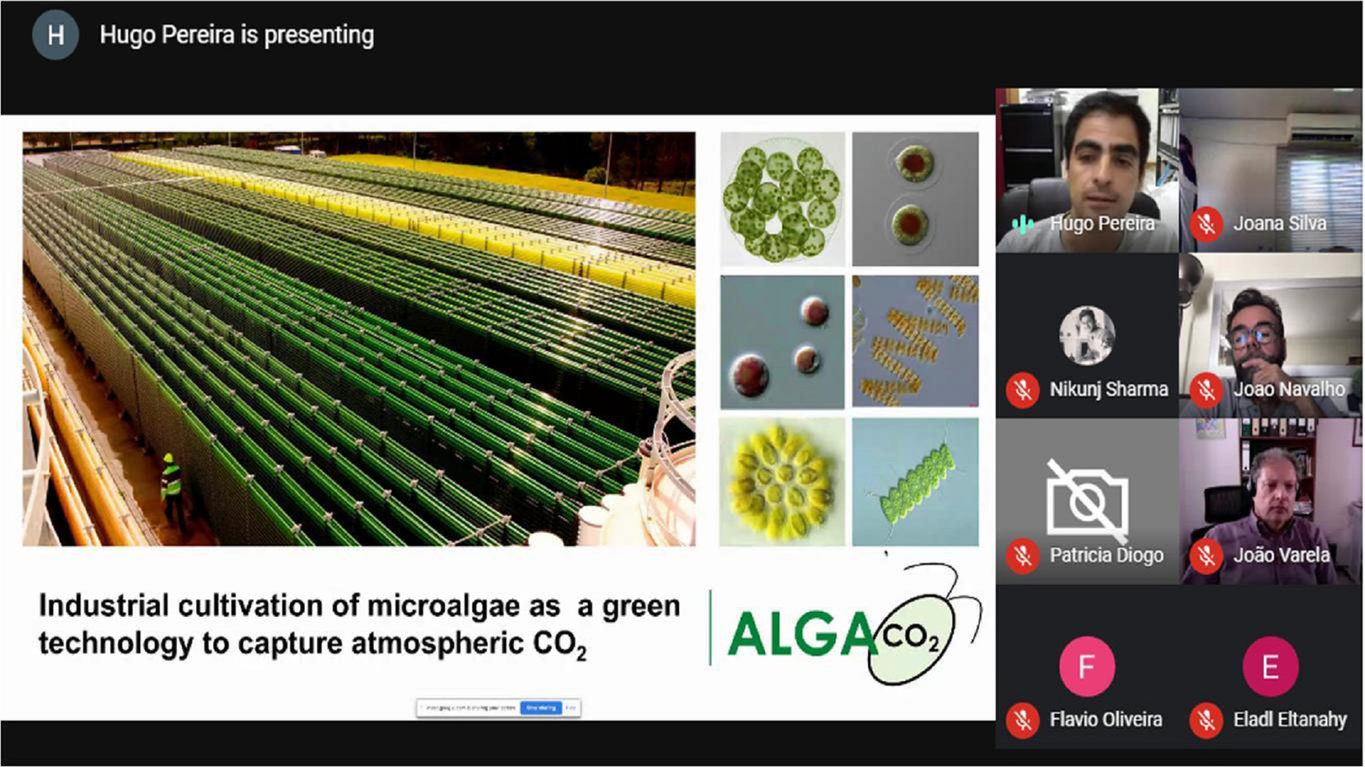 Allmicroalgae organizou um webinar para divulgar o projeto AlgaCO2